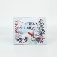 Набор новогодних пакетов &laquo;Время чудес в Новом году&raquo;