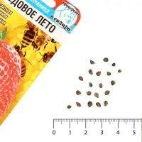 Семена Земляника ремонтантная &laquo;Медовое лето&raquo;, 5 шт., ранняя, &laquo;Сибирский сад&raquo;