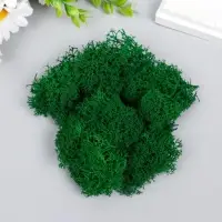 Мох декоративный стабилизированный &laquo;Ярко-зелёный&raquo; 45 г (&plusmn;5 г)