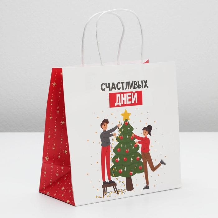 Пакет подарочный новогодний «Счастливых дней», 22 х 22 х 11 см, Новый год