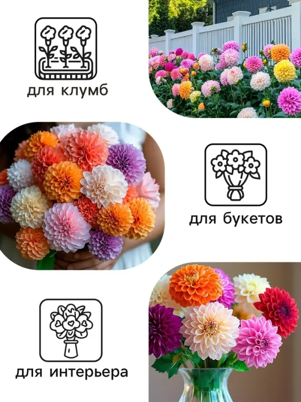 Семена цветов Георгин Семена цветов Георгин "Махровая смесь", 0,3 г
