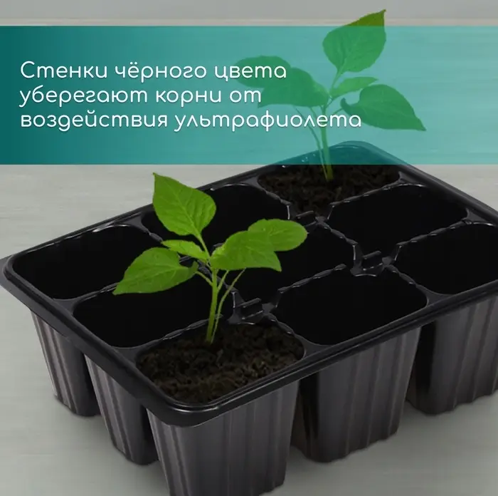 Кассета для рассады, 9 ячеек по 80 мл, пластик, чёрная, 18&times;13&times;6 см, Greengo