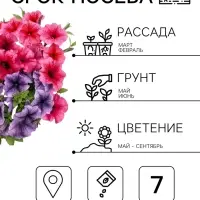 Семена цветов Петуния &laquo;Все звезды&raquo; F1, многоцветковая, смесь, драже, 7 шт. 1094