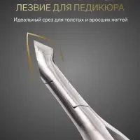 Кусачки педикюрные &laquo;Премиум&raquo;, скрытая пружина, 11.5 см, длина лезвия-6 мм, чёрные, серебристые