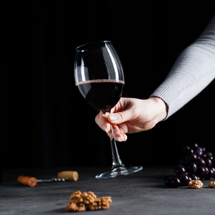 Бокал для вина Paşabahçe Enoteca, 440 мл, стекло, прозрачный Бокал для вина Paşabahçe Enoteca, 440 мл, стекло, прозрачный