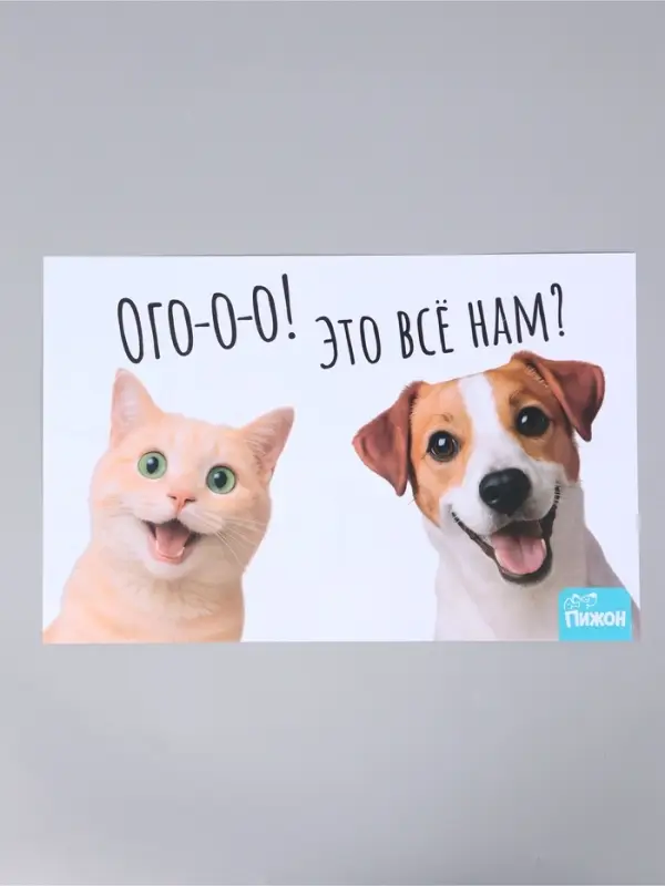 Коврик под миску &laquo;Пижон&raquo; 43&times;28 см &laquo;Ого! Это всё нам?&raquo;