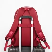 Рюкзак школьный &laquo;Котик&raquo;, 3 кармана, 2 отделения, 29&times;14&times;44 см, бордовый