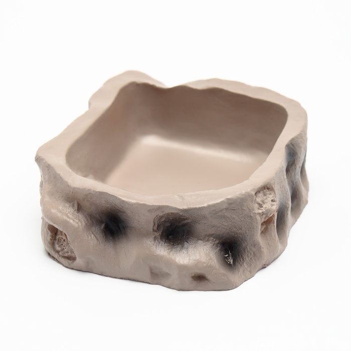 Кормушка для террариума, 8,2 х 8 х 2,5 см Кормушка для террариума, 8,2 х 8 х 2,5 см