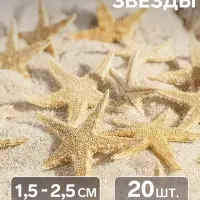 Набор натуральных морских звезд, 1.5 - 2.5 см, 20 шт.