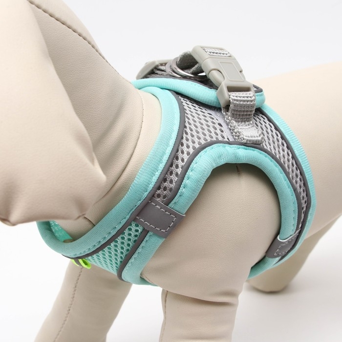 Комплект с мягкой шлейкой, быстросъемный, S, поводок 150 х 1,5 см, ОШ 33-36 см, ОГ 35-40 см, бирюз Комплект с мягкой шлейкой, быстросъемный, S, поводок 150 х 1,5 см, ОШ 33-36 см, ОГ 35-40 см, бирюз