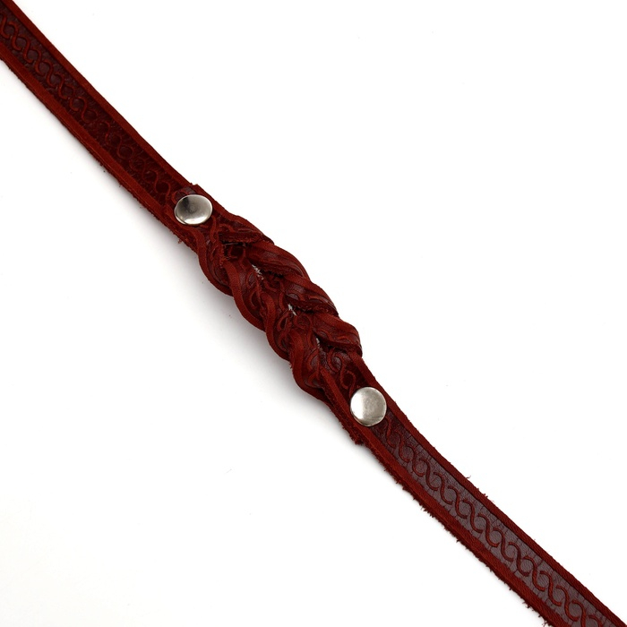 Поводок кожаный однослойный тиснёный, удлиненный,  2 м х 1,6 см  коричневый Поводок кожаный однослойный тиснёный, удлиненный,  2 м х 1,6 см  коричневый