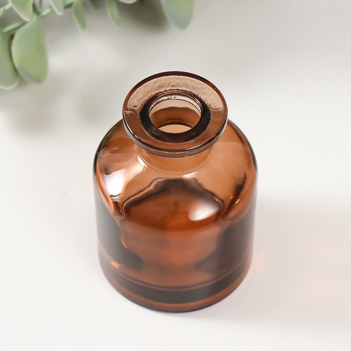 Диффузор для эфирных масел Диффузор для эфирных масел "Бутылёк" 50 мл прозрачный коричневый 4,8х4,8х7 см