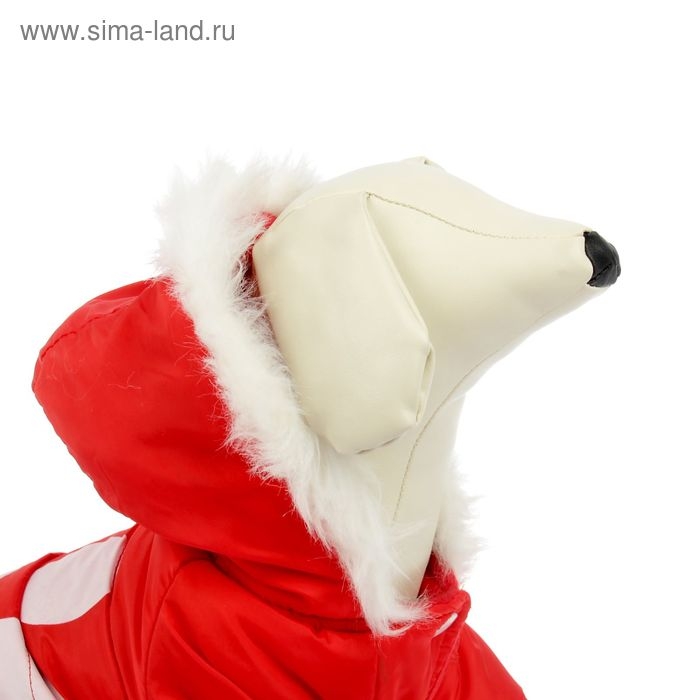 Куртка с капюшоном и мехом, размер XL (ОШ 34, ОГ 47, ДС 31 см), красная Куртка с капюшоном и мехом, размер XL (ОШ 34, ОГ 47, ДС 31 см), красная