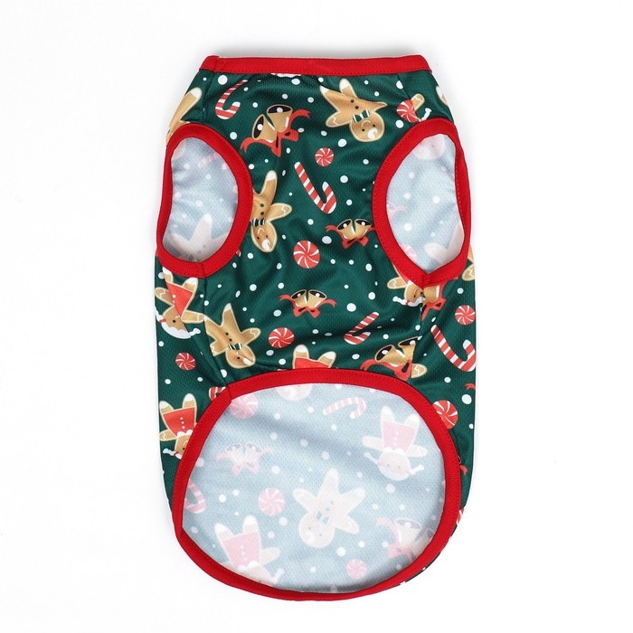 Толстовка "Пряня", размер  S (ДС 25, ОШ 25, ОГ 35 см), зелёная