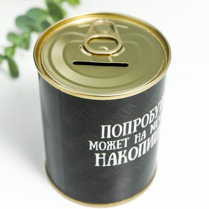 Копилка-банка металл Копилка-банка металл "Попробуй, может на мечту накопишь"