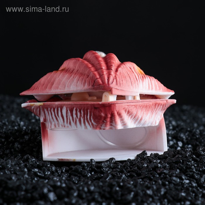 Распылитель подвижный  Распылитель подвижный "Раковина с жемчужиной" с поднимающейся крышкой