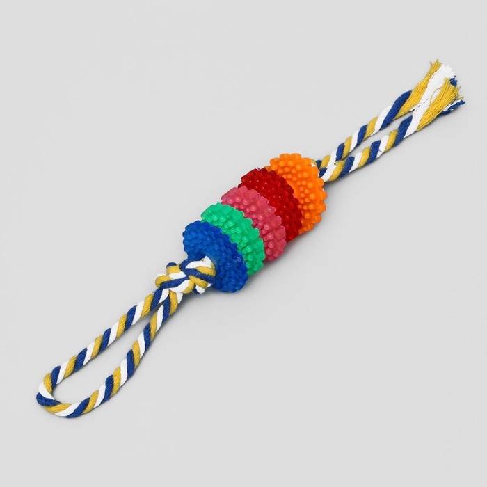 Игрушка жевательная Игрушка жевательная "Шестерёнка на канате", 32 см, диаметр колец 5 см, микс цветов