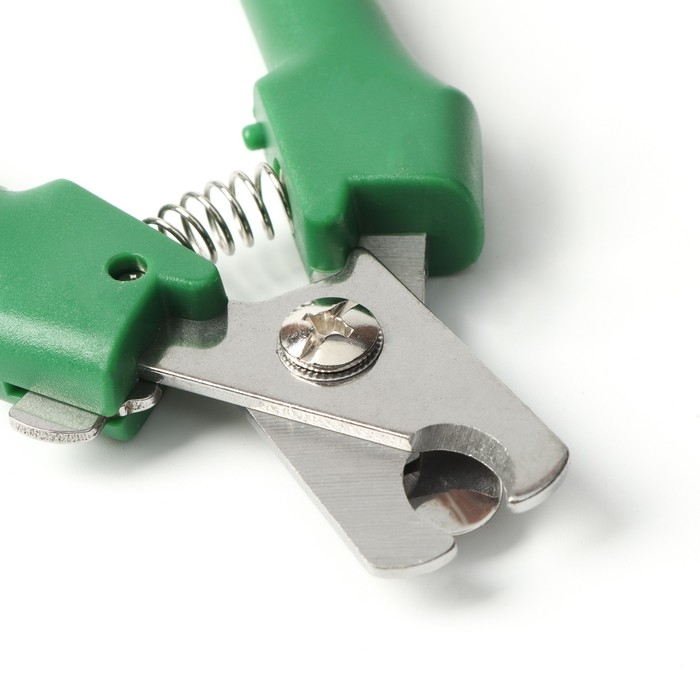 Когтерез боковой большой с прямыми ручками, отверстие 14 мм, зеленый Когтерез боковой большой с прямыми ручками, отверстие 14 мм, зеленый