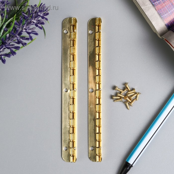 Петля карточная удлинённая для шкатулок металл угол открывания 180 град + гвозд. 10х1,5 см Петля карточная удлинённая для шкатулок металл угол открывания 180 град + гвозд. 10х1,5 см