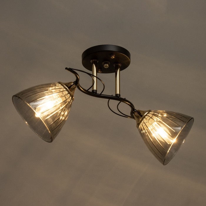 Люстра Люстра "Сальма" 2хЕ27 40Вт черный 48х18х24см BayerLux