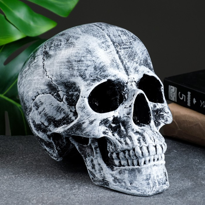 Копилка  Копилка "Череп" 16х13х22 см