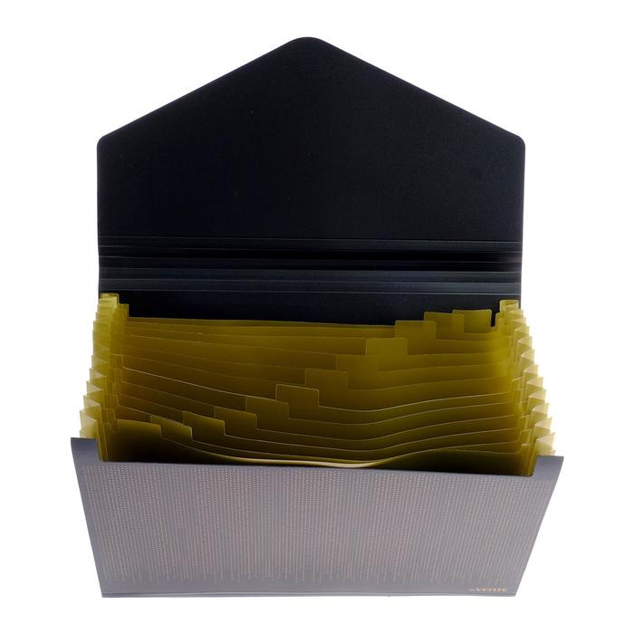 Папка-кратотека 12 отделений, А4, на резинке, deVENTE My gold, 700 мкм Папка-кратотека 12 отделений, А4, на резинке, deVENTE My gold, 700 мкм