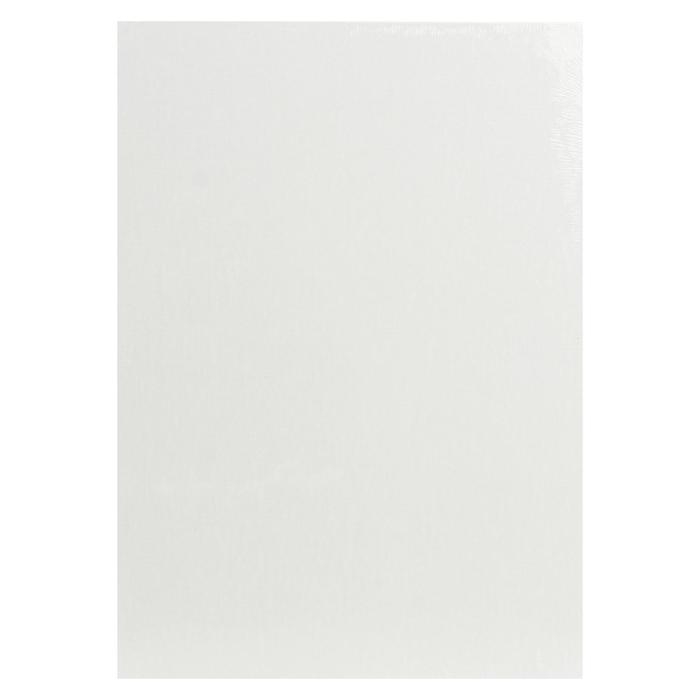 Холст на картоне 25 х 35 см, хлопок 100%, акриловый грунт, мелкозернистый, Гамма Холст на картоне 25 х 35 см, хлопок 100%, акриловый грунт, мелкозернистый, Гамма "Студия"