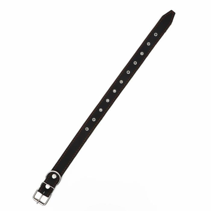 Ошейник комбинированный кожа/брезент, безразмерный, 70 х 3,5 см, ОШ 25-60 см, чёрный