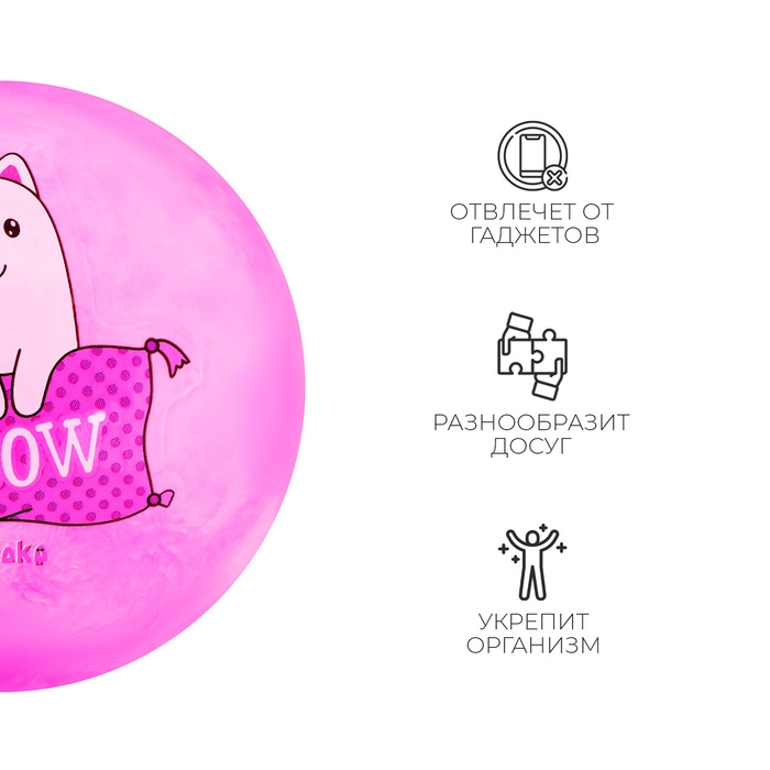 Мяч детский ZABIAKA MEOW, d=22 см Мяч детский ZABIAKA MEOW, d=22 см