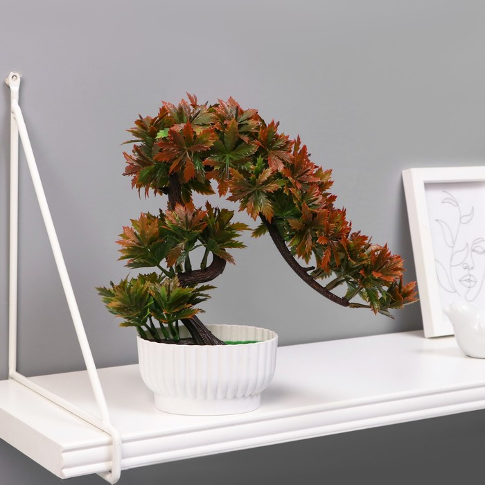 Бонсай в горшке Бонсай в горшке "Деревце остролист" 10х22 см, микс