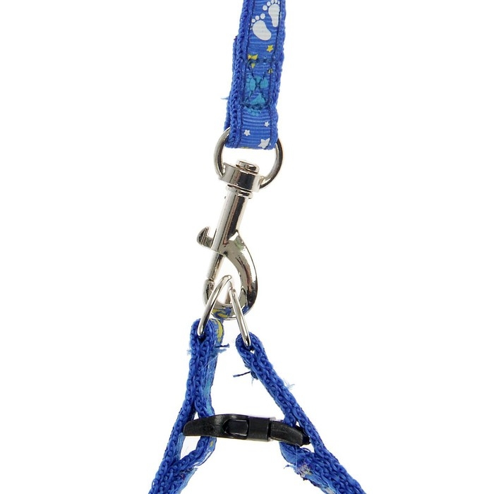 Комплект  Комплект "Цветные следы", ширина 1 см, поводок 120 см, шлейка 23-35 см, синий