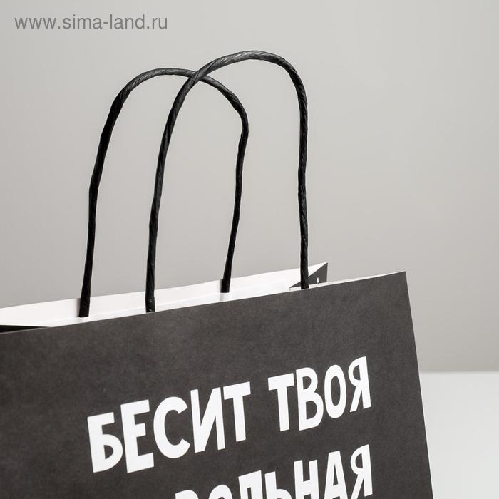 Пакет подарочный, упаковка, «Бесит», 22 х 22 х 11 см Пакет подарочный, упаковка, «Бесит», 22 х 22 х 11 см