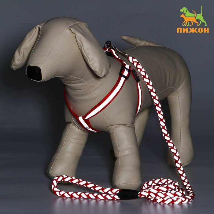 Комплект  Комплект "Плетенка", флуоресцентный, поводок 115 х 1 см, ОГ 32-48 х 1,5 см, красный