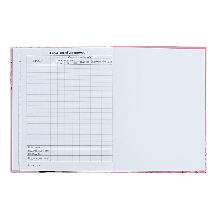 Дневник универсальный для 1-11 классов Дневник универсальный для 1-11 классов "Аниме. Нежная девочка", твёрдая обложка, глянцевая ламинация, 40 листов