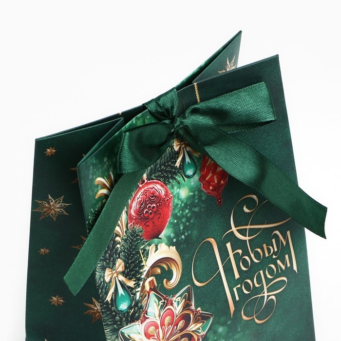 Пакет подарочный новогодний с лентой «С Новым годом», 13 х 19 х 9 см , Новый год Пакет подарочный новогодний с лентой «С Новым годом», 13 х 19 х 9 см , Новый год