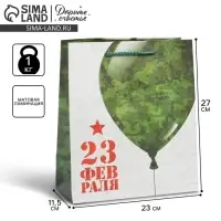 Пакет подарочный ламинированный, упаковка, &laquo;С 23 февраля&raquo;, ML 23&times;27&times;11.5 см