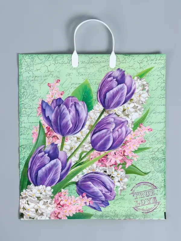 Пакет &laquo;Беатрис&raquo;, полиэтиленовый с пластиковой ручкой, 100 мкм 40&times;44 см