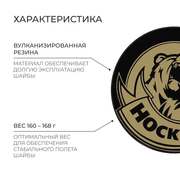 Шайба хоккейная Winter Star, взрослая, d=7.6 см
