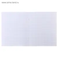 Тетрадь 48 листов в клетку Calligrata &laquo;Надпись&raquo;, обложка мелованный картон, блок офсет, МИКС