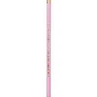 Карандаши чернографитные BIC HB Evolution &laquo;Пастель&raquo;, набор 5 штук, пластиковые, с ластиками
