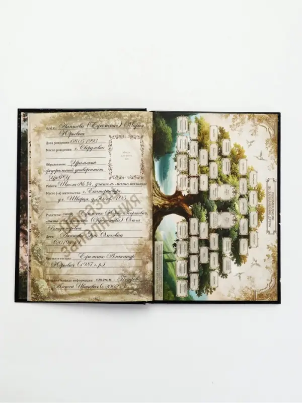 Родословная книга 16,5 х 24 см