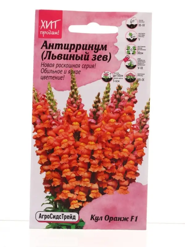 Семена цветов Антирринум Кул Оранж 10 шт