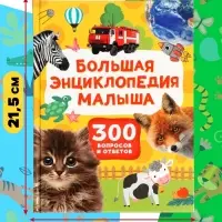 Большая энциклопедия малыша &laquo;300 вопросов и ответов&raquo;, 144 стр.