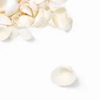 Набор ракушек декоративных 1.5-3 см, 100 г