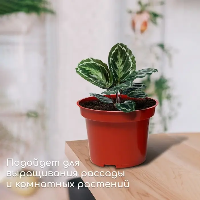 Горшок для рассады, 2 л, d = 17 см, h = 13 см, терракот, Greengo Горшок для рассады, 2 л, d = 17 см, h = 13 см, терракот, Greengo