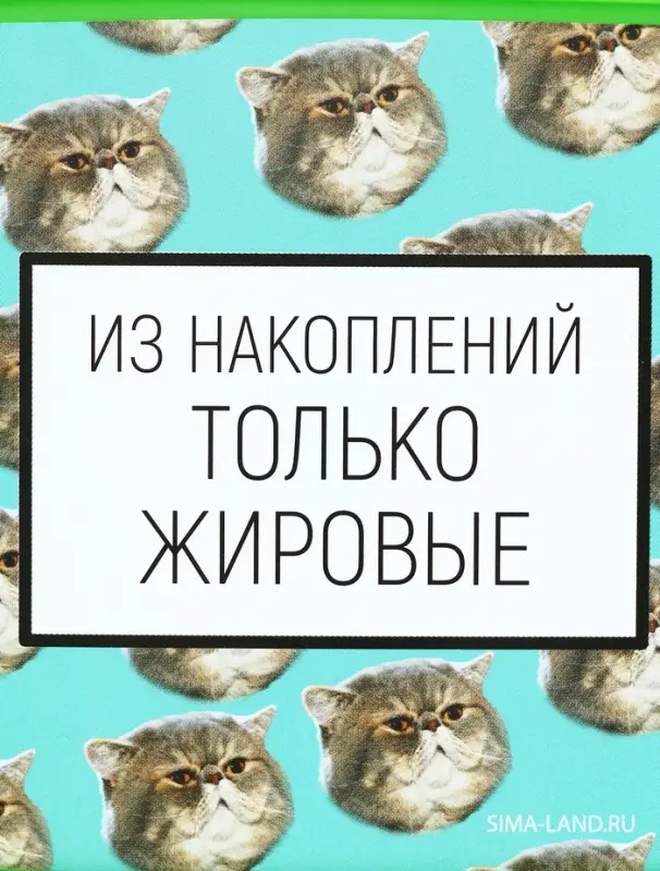 Ланч - бокс прямоугольный &laquo;Накопления&raquo;, 500 мл