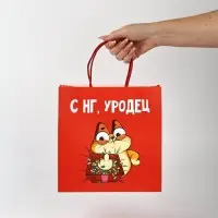 Набор пакетов подарочных &laquo;Новогодний праздник&raquo; 5 шт., 22&times;22&times;11 см
