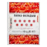 Файл - вкладыш Calligrata, А4, 60 мкм, плотные, матовый, вертикальный, 100 штук