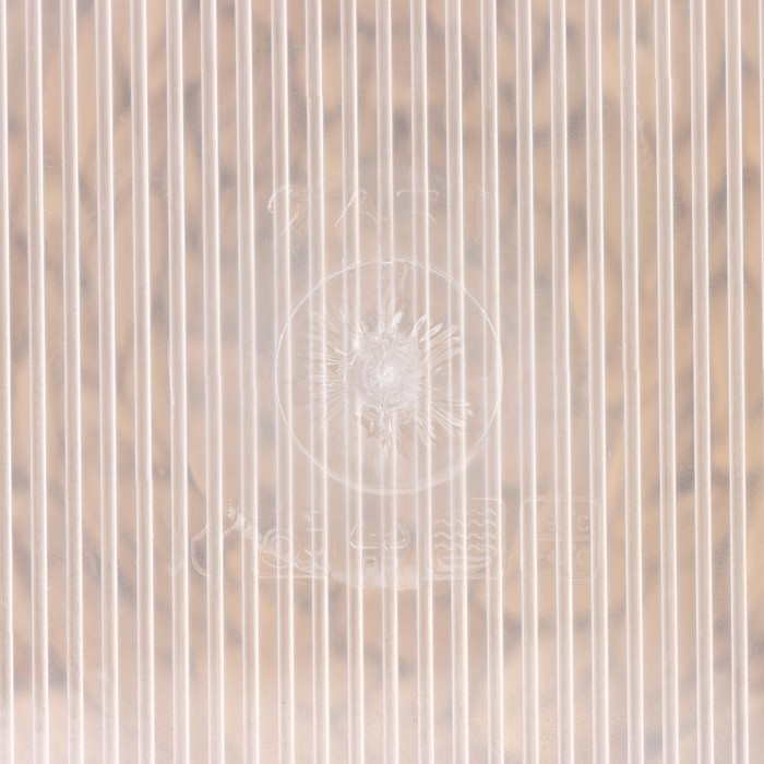 Контейнер пищевой RICCO, 2,65 л, 21,5×21,5×10 см, квадрат, цвет прозрачный, крышка голубая