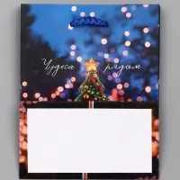 Пакет подарочный новогодний ламинированный, «Дед Мороз» , 11.5×6.5×14.5 см